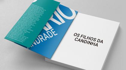 Imagem de Livro - Os Filhos de Candinha
