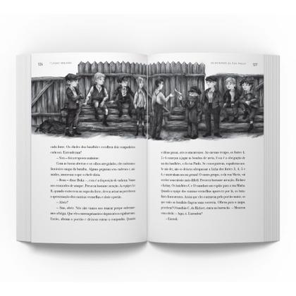 Imagem de Livro - Os meninos da Rua Paulo