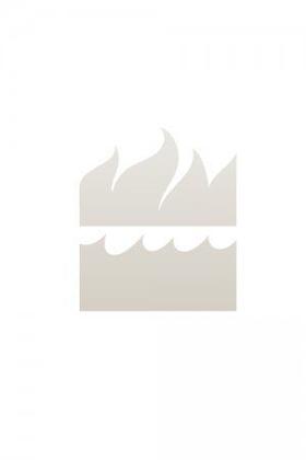 Imagem de Livro - Para casar com o pecado