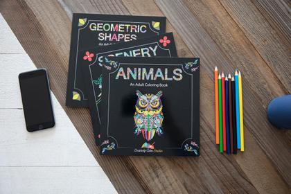 Imagem de Livro para Colorir para Adultos Creatively Calm Studios - Conjunto com 3 Livros