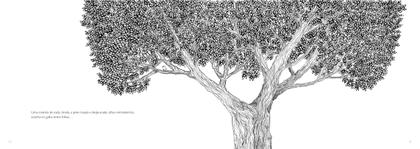 Imagem de Livro - Passarinha