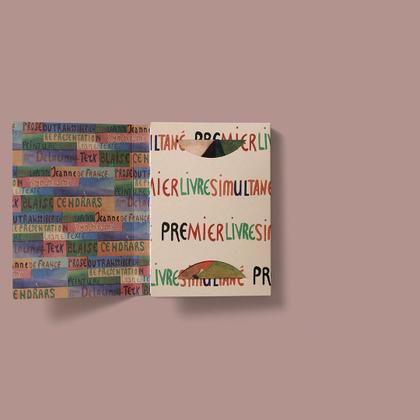 Imagem de Livro - PoemaPinturaPerformance