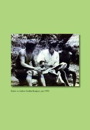 Imagem de Livro - Povo Brasileiro