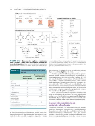 Imagem de Livro - Princípios de Bioquímica de Lehninger