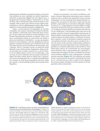 Imagem de Livro - Princípios de Neurociências
