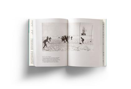 Imagem de Livro - Shackleton: Uma lição de coragem