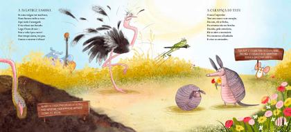 Imagem de Livro - Sinfonia dos animais