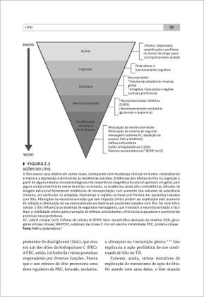 Imagem de Livro - Transtorno bipolar no ciclo da vida