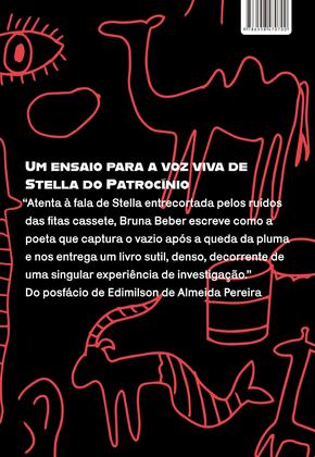 Imagem de Livro - Uma encarnação encarnada em mim