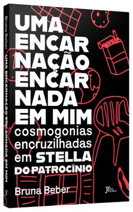 Imagem de Livro - Uma encarnação encarnada em mim