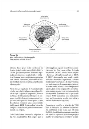 Imagem de Livro - Vencendo a Depressão