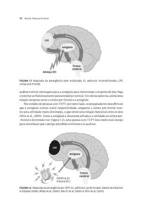 Imagem de Livro - Vencendo o Transtorno de Estresse Pós-traumático com a Terapia de Processamento Cognitivo