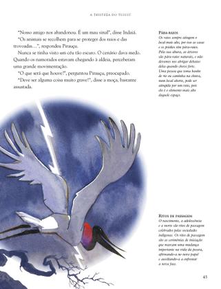 Imagem de Livro - Viagem pelo Brasil em 52 histórias