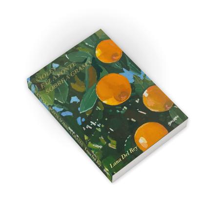 Imagem de Livro - Violet faz a ponte sobre a grama