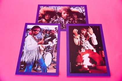 Imagem de Livro - Wild Thing (Caixa de Colecionador)