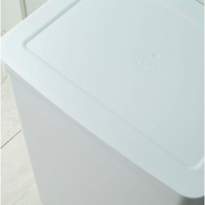 Imagem de Lixeira Pedal 30 Litros Trium Com Aro Para Saco, Cozinha