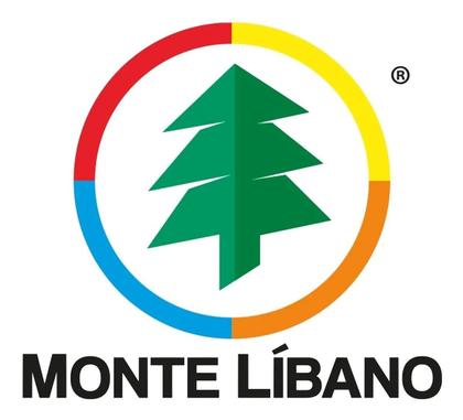 Imagem de Lixeira Rattan 6 Litros Texturizada Top Monte Libano