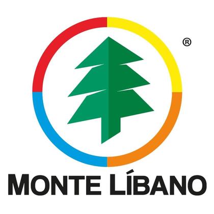 Imagem de Lixeira Redonda Com Tampa 3l Plástico Bebê Cesto Banheiro - Monte Libano