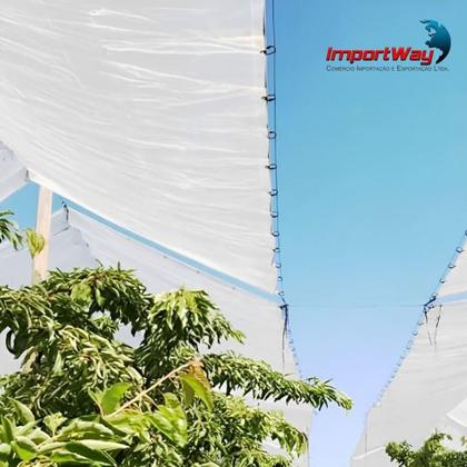 Imagem de Lona Carreteiro 100 Micras Leve 5 x 4 Metros Transparente IWLP54TR IMPORTWAY