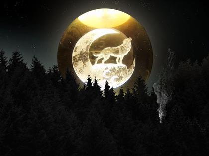 Imagem de Luminária Abajur Globo Vidro Lobo LED USB Enfeite Decorativo Esfera Vidro de 3D Base de Madeira