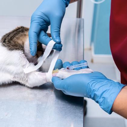 Imagem de Luva Descartável Nitrilo Azul "P" Sem Pó Caixa com 100 Unidades Medix