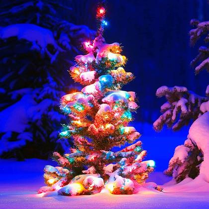 Imagem de Luzes de Natal Lucklig 19 pés 70 LED Globe String Lights