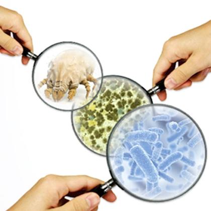 Imagem de Lysoform Original Desinfetante Bactericida 360ml