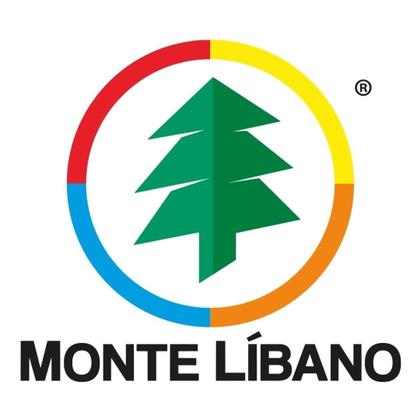 Imagem de Maleta Transparente Maxi Box 28X25X18cm - Monte Líbano