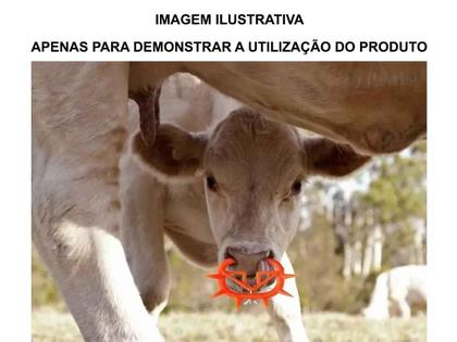 Imagem de Mamadeira Bezerro 2,5 Litros + Focinheira Desmama Bezerro