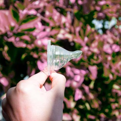 Imagem de Mamadeira Minbie Newborn - Anti-Cólica e Anti-Refluxo