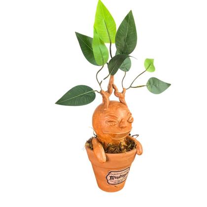 Imagem de Mandrágora no Vaso - Peça Decorativa Artesanal