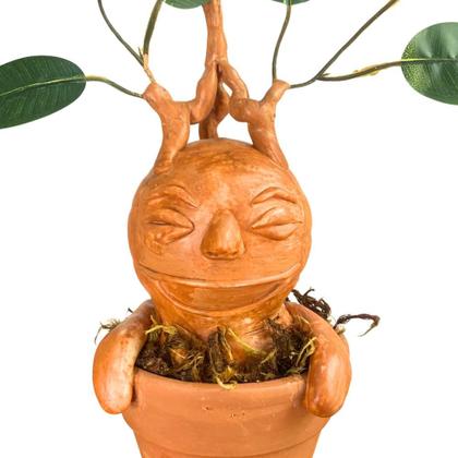 Imagem de Mandrágora no Vaso - Peça Decorativa Artesanal