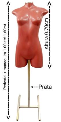 Imagem de Manequim feminino adulto (Meio corpo jó N.36) Rose com tampa prata + pedestal H na cor prata.