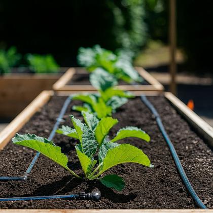 Imagem de Mangueira Cega Tubo Gotejamento PE 16mm PN30 Irrigação 100 Metros - Ideal para hortas, jardins, estufas e plantações