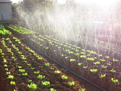 Imagem de Mangueira Irrigação Santeno 1 Micro Perfurada 100 Metros