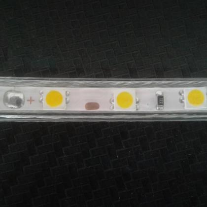 Mangueira Led Chata 10 Metros - Novidade Brasil Imagem de Mangueira Led Chata 10 Metros
