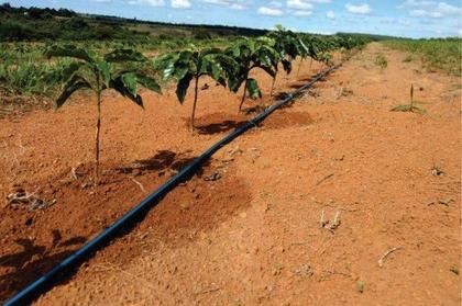 Imagem de Mangueira Tubo Irrigação Drip Plan Pelbd Dn16 Pn25 200mt