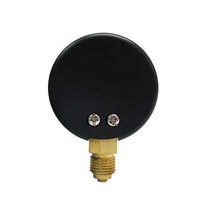 Imagem de Manômetro Seco 1/4" 60 psi DN53 Genebre