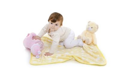 Imagem de Manta Soft Pelúcia Elefante, Ursinho Cobertor Anti-alérgico