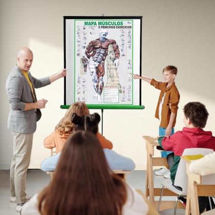 Imagem de Mapa Enrolado de Anatomia Humana Músculos E Principais Exercícios - Fisioterapia - Academia