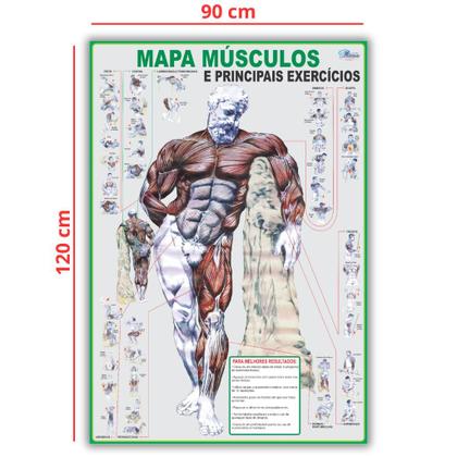 Imagem de Mapa Enrolado de Anatomia Humana Músculos E Principais Exercícios - Fisioterapia - Academia