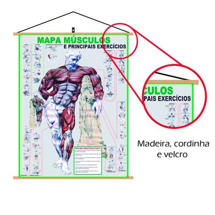 Imagem de Mapa Músculo Exercício Academia Treino Corpo Banner Laminado Com Cordinha para Pendurar