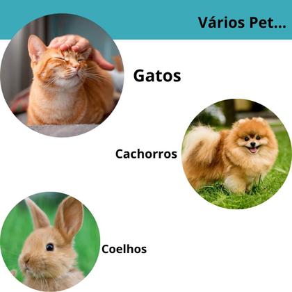 Imagem de Máquina de Tosa Kemei KM-1991  Recarregável, Silenciosa e Profissional para Cães e Gatos