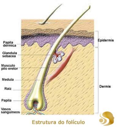 Imagem de Máscara De Crescimento Rápido Sublime Hair 300ml