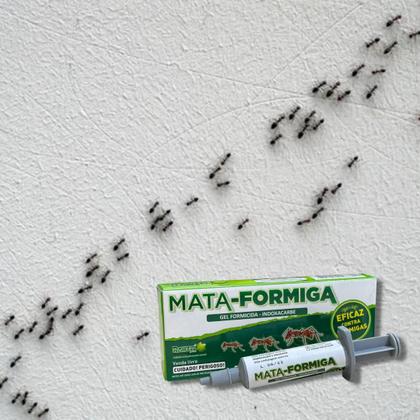 Imagem de Mata Formiga Gel Mata Todos Os Tipos De Formiga 10gr