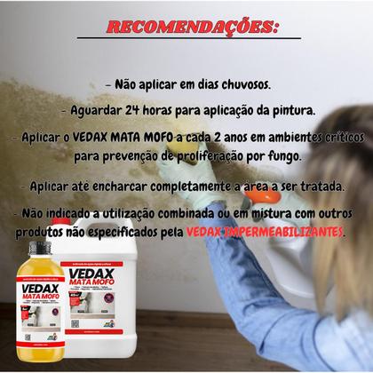 Imagem de Mata Mofo Não Volta Anti Elimina Parede Teto Piso 1L Telha Armário Madeira Bolor Mactra Spray