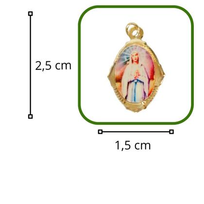 Imagem de Medalha N Sra de Lourdes + caixa acrílica coração 2 unidades