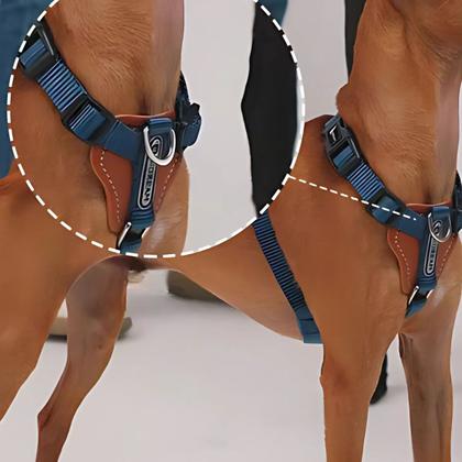 Imagem de Meia Argola 15mm Niquelada Com Solda Kit 70 Unid Para Guias e Peitorais Pet Mochilas Bolsas