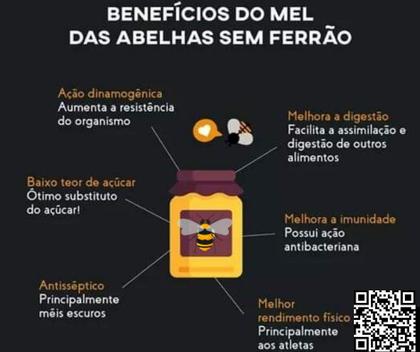 Imagem de Mel de tubuna - 60ml/80g