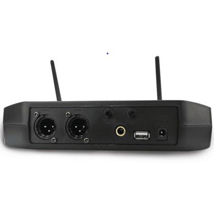Imagem de Microfone Duplo Multifrequência LS-916 - Leson